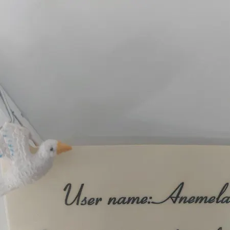 Apartman Anemela Basic